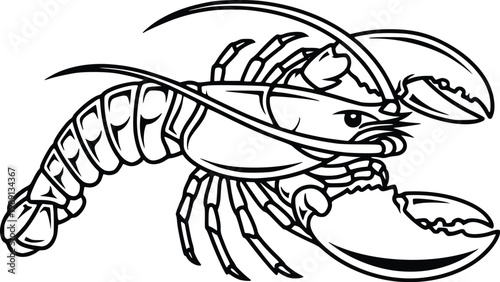 Hand Drawn Lobster Vector Black and White Line Art Seafood Illustration