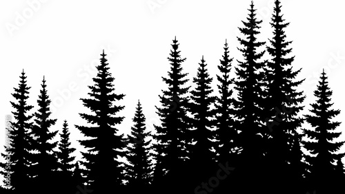 A stark silhouette of coniferous trees against a bright solid white background