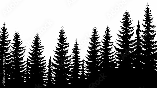 Silhouetted evergreen trees against a stark white background create a minimalist landscape
