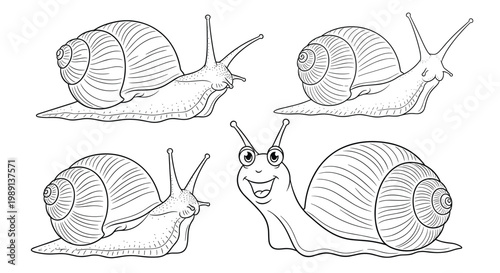 Set of four cartoon snail illustrations showing different poses and one happy character for children books or animal themed designs.