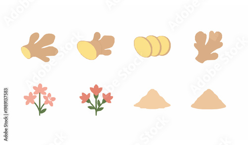 Flat vector ginger spice icon set with fresh roots, slices, flowers, and powdered ginger elements for natural food ingredients design