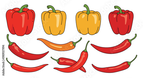 Assortment of red and yellow bell peppers along with various red and orange chili peppers for spicy food and cooking ingredients.