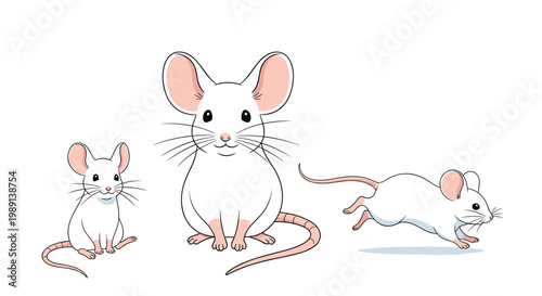 set of three white mice illustrated in various positions including sitting looking forward and running on a white background.