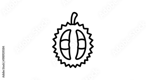 Simple line drawing of a fruit with a spiky outer layer and a stem on top.