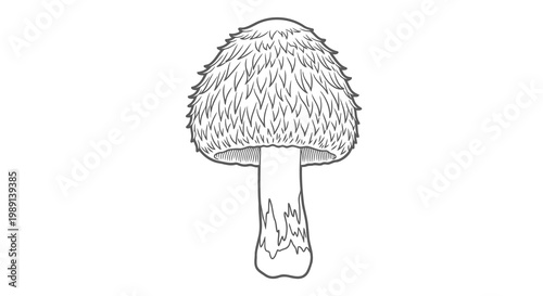A simple black and white drawing of a mushroom with a fuzzy cap.