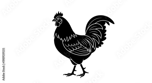 A minimalist black rooster with white line art details standing on a white background.