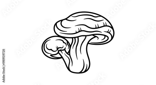 A simple line drawing of a mushroom with a large cap and a smaller one beside it.