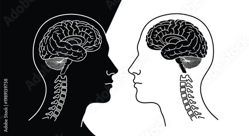 Contrasting black and white human head silhouettes with visible brains, depicting mental processes and dual perspectives vector illustration.