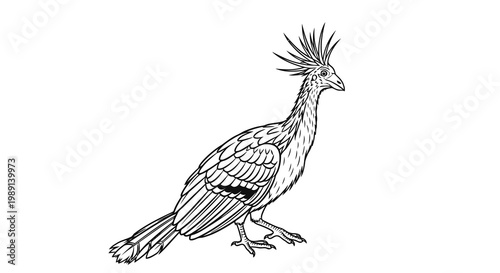 A simple black and white drawing of a bird with a spiky crest on its head.