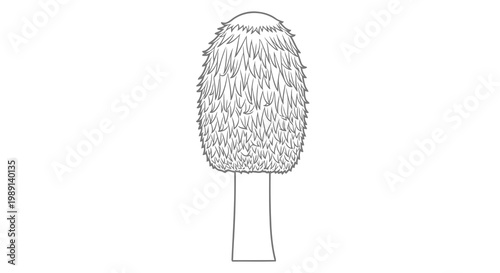 Detailed drawing of a single mushroom with a fuzzy cap and simple stem.