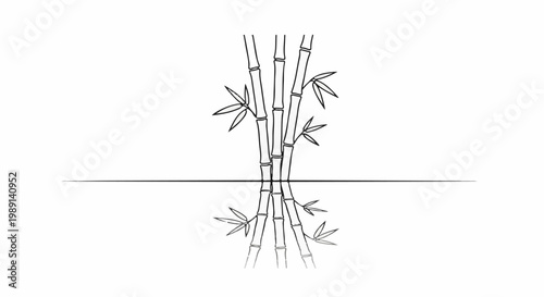 Minimalist outline of bamboo stalks with leaves, reflected in water