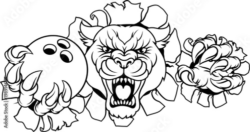 A panther, leopard or couga...