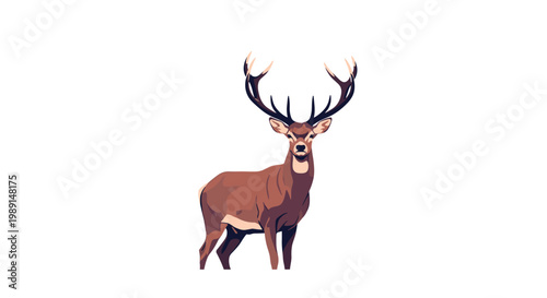 Majestic brown deer with large impressive antlers standing in a proud pose against a clean and simple white background.