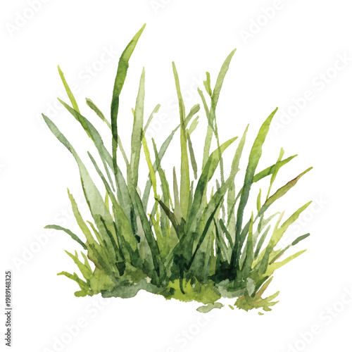 Green grass blades growing together outdoors.