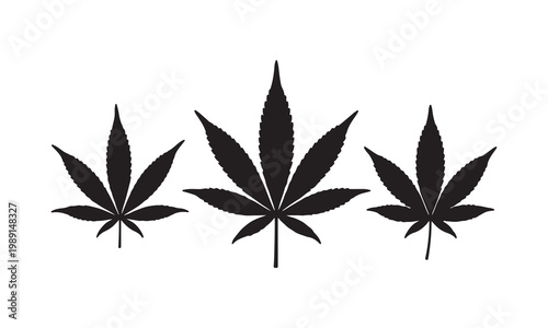 Three black cannabis leaves silhouette on white background, vector illustration.