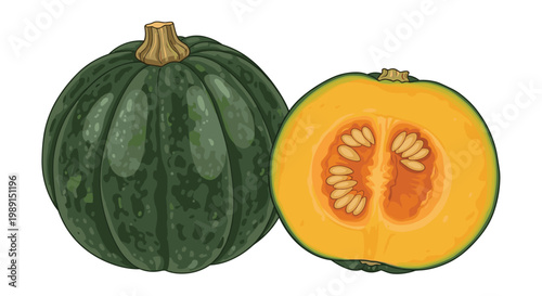 Whole green kabocha squash sits next to a sliced half showing the bright orange flesh and seeds on a white background.