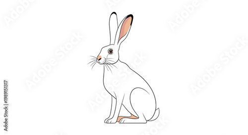 Simple vector illustration of a white rabbit with long ears sitting calmly against a plain white background for design.