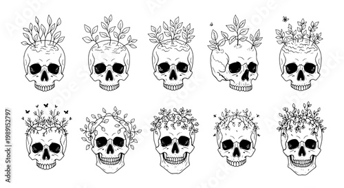 Skulls hand drawn set with floral crowns and leaves, black line art illustrations featuring vector, death, mortal remains with bones and skeleton