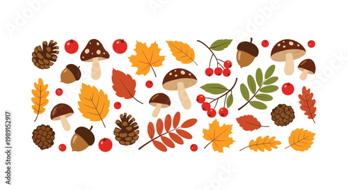 Horizontal pattern of autumn nature elements like colorful leaves, mushrooms, pinecones, and red berries on a white background.
