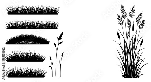 Grass blades meadow plant elements set with silhouette style stems, leaves, and clumps for nature design