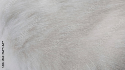 Close-up of soft white faux fur texture background