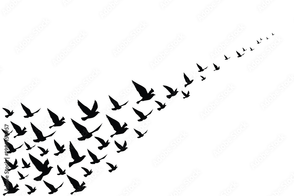 Fototapeta premium Flying birds silhouettes wallpaper pattern.