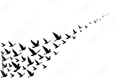 Flying birds silhouettes wallpaper pattern.