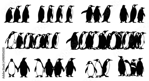 Multiple penguins standing together in various poses and silhouettes on white background
