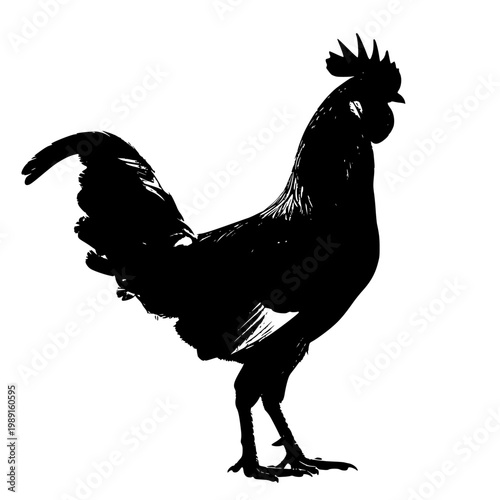 Majestic rooster standing with vibrant plumage and striking comb