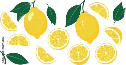 Fresh Lemons and Slices Illustration with Green Leaves for Citrus, Food, and Healthy Lifestyle Graphics