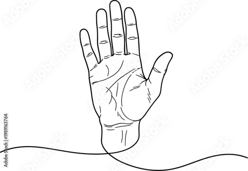 A hand with lines drawn on it