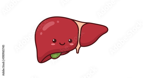 Cute Kawaii Human Liver Character Illustration - Healthy Organ Mascot with Smiling Face for Medical and Wellness Designs