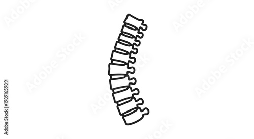 Human Spine Vertebrae Line Art Icon - Minimalist Backbone Illustration for Chiropractic, Orthopedic, and Medical Health Concepts