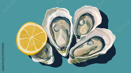 Illustration of oysters with a slice of lemon on a teal background