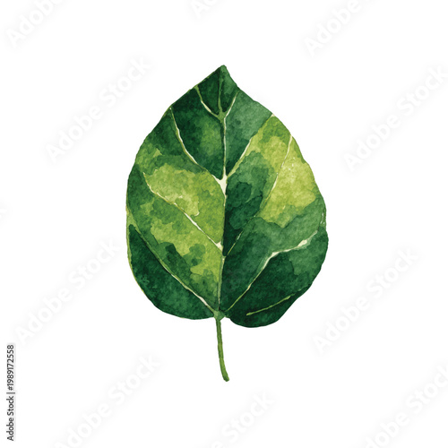 Green leaf with yellow spots closeup.