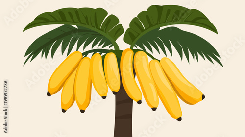 A stylized illustration features a palm tree with a bunch of ripe yellow bananas hanging