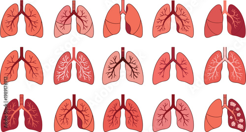 Human Lungs Anatomy Icon Set with Detailed Respiratory System Variations for Medical Education, Healthcare Illustration, Biology Study, and Clinical Graphics Design