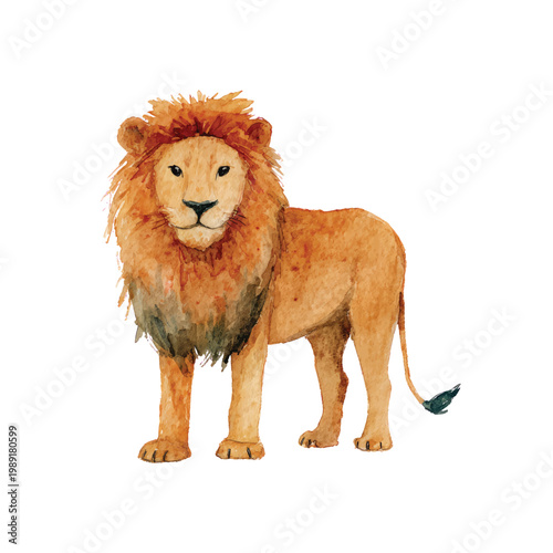 Majestic male lion standing alone.