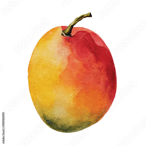 Vibrant Yellow Red Ripe Mango Fruit.
