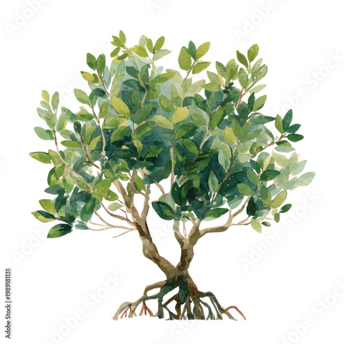 Tree with roots and green leaves.