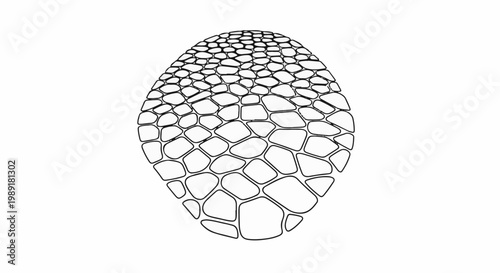 Organic, segmented surface with irregular cell-like shapes, creating a textured effect