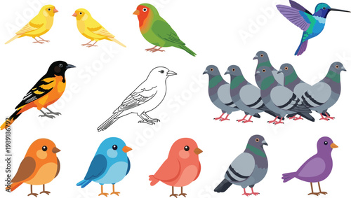 Colorful Bird Collection Set Featuring Canary, Parrot, Hummingbird, Pigeon, Oriole and Sparrow Species in Flat and Outline Vector Design for Nature and Wildlife Concepts