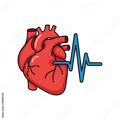 Stylized Illustration of a Human Heart with Cardiovascular Line