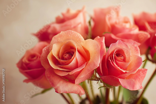 Soft pink roses in a delicate bouquet, dewdrops glistening on petals, close-up view.