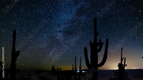 Night sky in the desert with cactus flowers