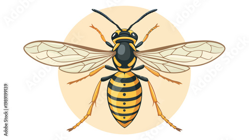 A detailed illustration of a wasp with yellow and black stripes on a beige circular background