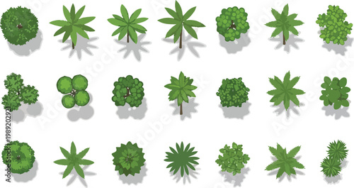 Top view architectural tree symbols, set of 21 green landscape plan icons for site mapping. Overhead garden vegetation and forest plant vector elements for masterplan design.