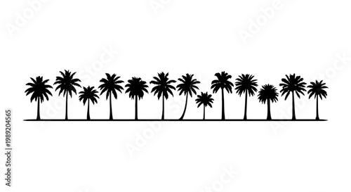 Palm tree silhouettes row of tropical palms for beach landscape background and travel poster design featuring island foliage, jungle greenery, nature