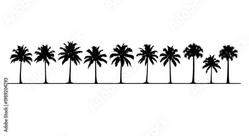 Palm trees row silhouette on white background, minimalist tropical landscape illustration with tall trunks and leafy crowns