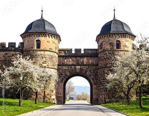Stone arched gatehouse with two domed towers and a road leading through. White blooming trees flank the entrance. A bright sky fills the background